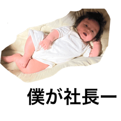 kouchi_20260210235023