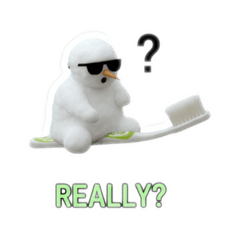 marucocare_20260209061014