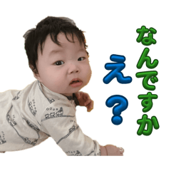 seisei_20260211011537