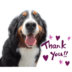 happy lulumom_20260211010136