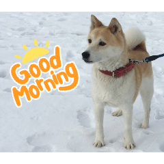 Sendai Senior HANAKO_20260211034729