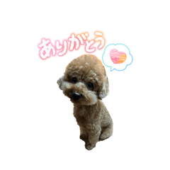 ocome_20260211051242