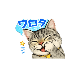 SATOMI_20260211100223