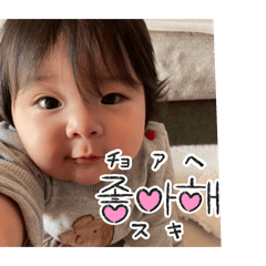 YAMATO_20260211104213