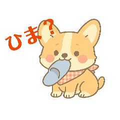 momo_20260211111910