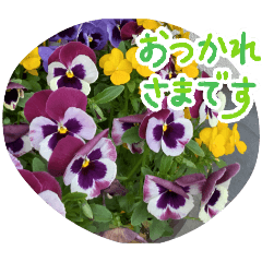 sannbe_20260211114719