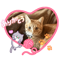 JAPAN_20260211125426