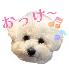 SAIKO_20260211125702