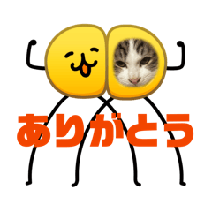 latte_20260211130042