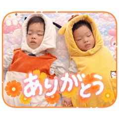 ikasummer_20260211130000