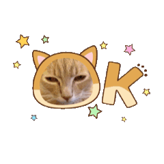 Udonoko_20260211152826