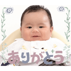 yamato_20260211164858