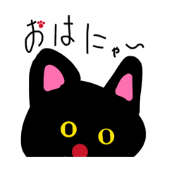 yoco_20260211180711
