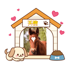 yamano_20260211180927