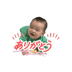 momo_20260211210947