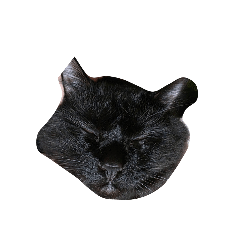 English_20260211115149