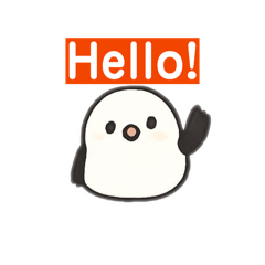 sss55sss_20260211172141