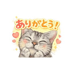 JOHEI_20260211172019