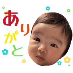 iijima_20260211171239