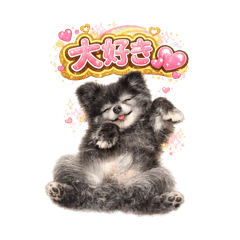 MOMO_20260211121621