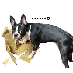 hirororo_20260211203308