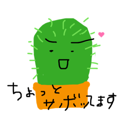 petaccota_20260211204513