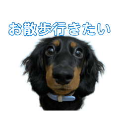 wanwan_20260211204153