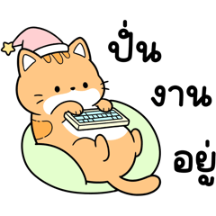 มุจจิ แมวส้ม จอมขี้เกียจ