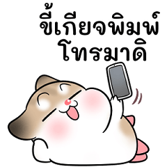 Pudding Campaign Lazy 2026