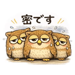 sora mi_20260211175346