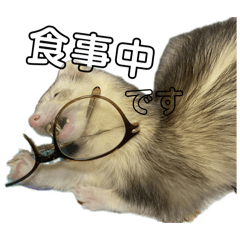 chocolat_20260211213853