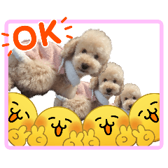 makoto_20260211124504