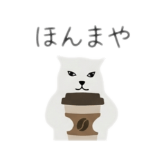 yamano_20260211125208