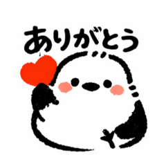 Selina_20260211125157