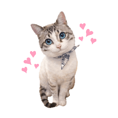 YUKICHI_20260211124703