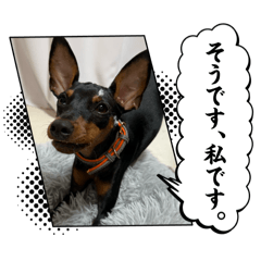 sakuchin_20260211124633