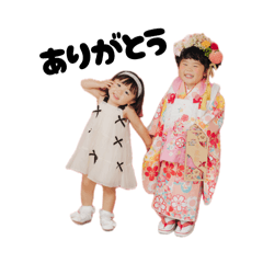 SEIKA_20260211124424