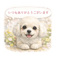 yururin_20260211143111