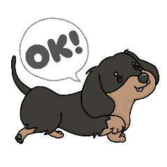 aaanan_20260211142843