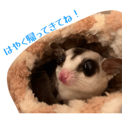 yotuori9w9_20260211124030