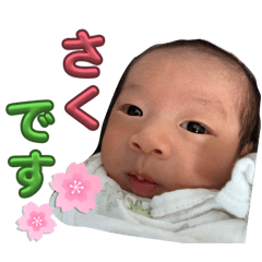 tkrep7777_20260211143411