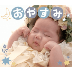 Qtaro_20260211143911