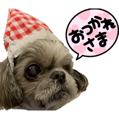 BonoBono_20260211143821