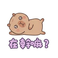 卡皮巴拉 好運滿滿 萬用 實用 貼圖