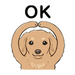 maririn_20260211201559