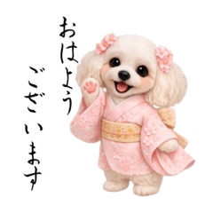 my_20260211201343