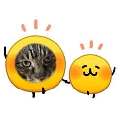 neko@935_20260211202024