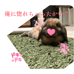 Daichi_20260211201948