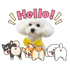 izumo_20260211201642