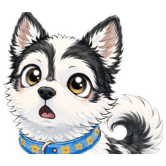 Ryuj!-S_20260211201953